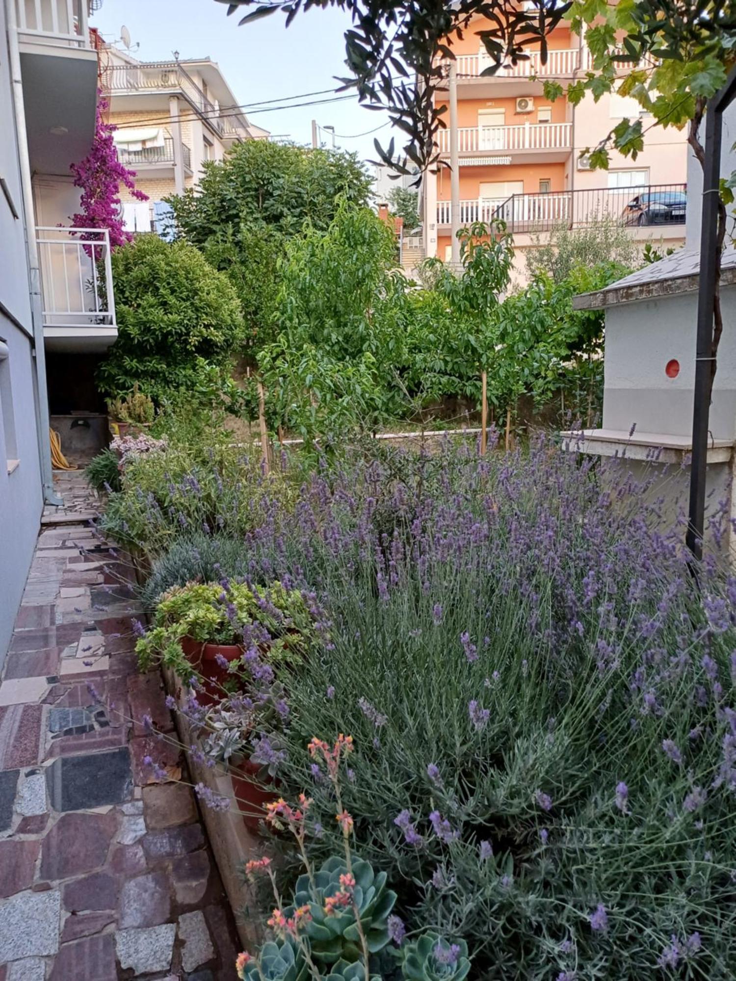 Apartment Sano Podstrana Bagian luar foto