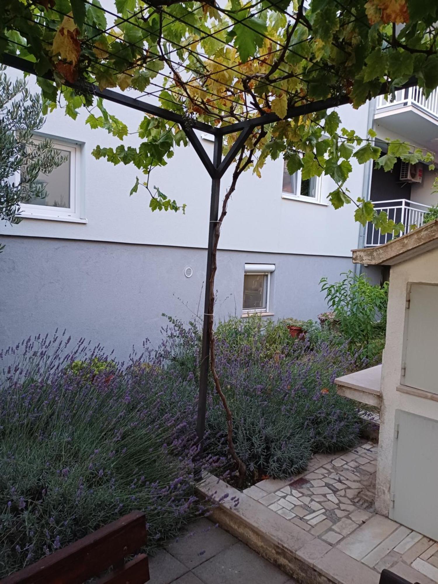 Apartment Sano Podstrana Ruang foto